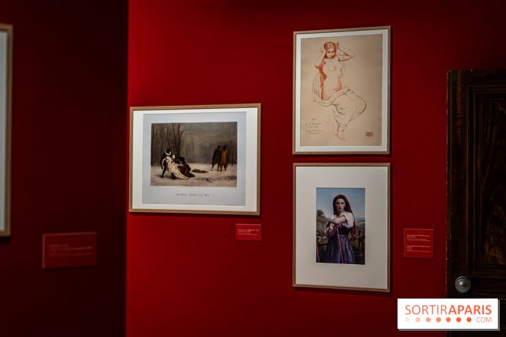 Exposition Van Gogh, les derniers voyages - photos - A7C08717