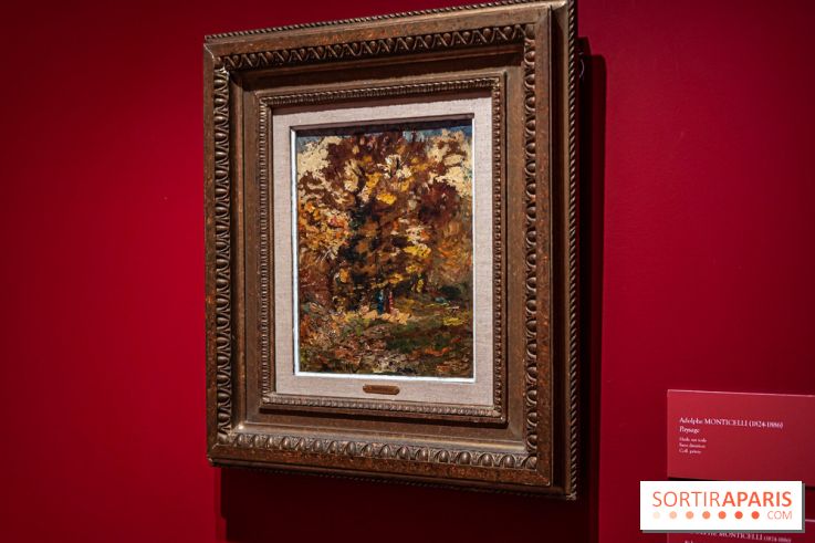 Exposition Van Gogh, les derniers voyages - photos