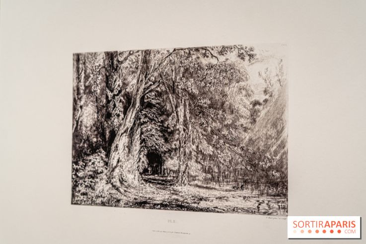 Exposition Van Gogh, les derniers voyages - photos - A7C08724