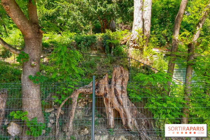 Encore plus d'Auvers-sur-Oise - IMG 2399