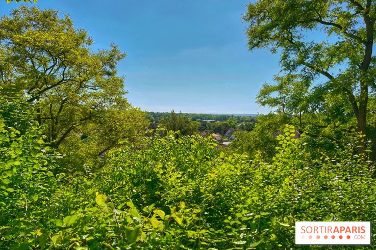 Encore plus d'Auvers-sur-Oise