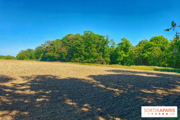 Encore plus d'Auvers-sur-Oise - IMG 2404