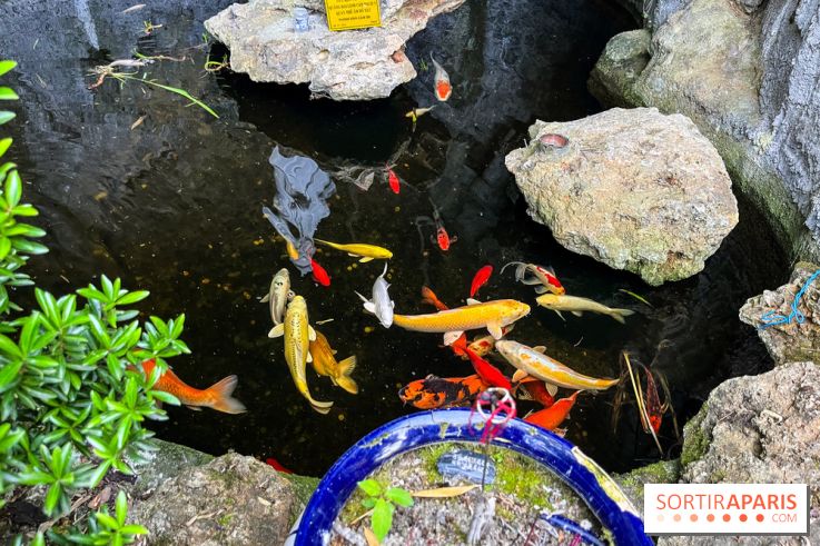 La pagode Trúc Lâm Thiền Viện - nos photos - image00021