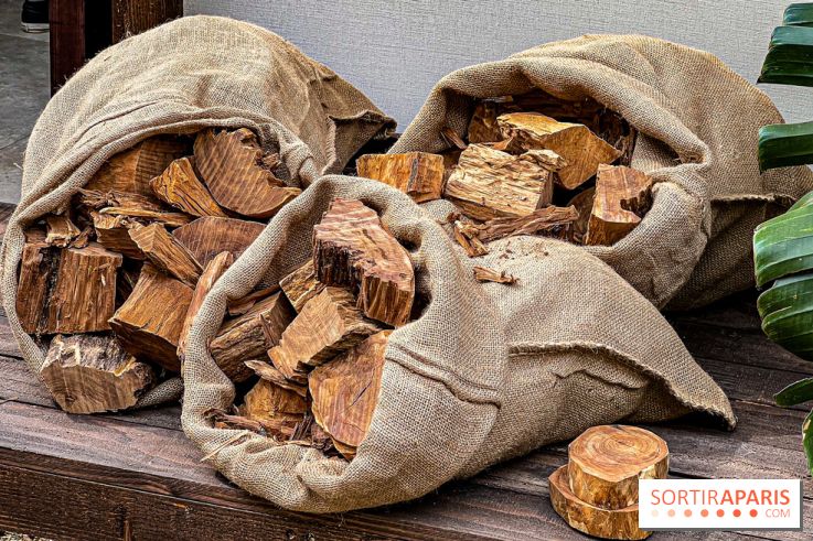 Jardins, Jardin 2025 : CHANEL dévoile son jardin parfumé & immersif au parc de la Villa Windsor - image00007