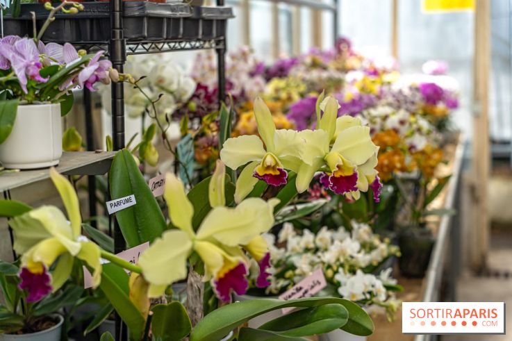 Jardins jardin 2025, les photos  - A7C09390