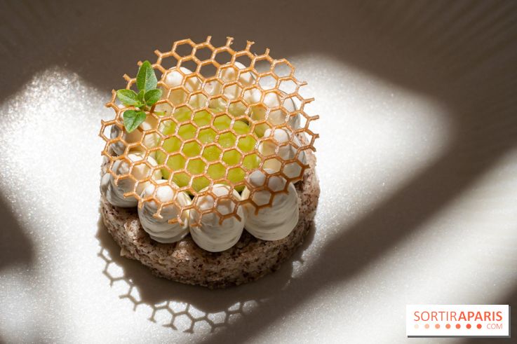 La terrasse estivale d'Apicius - A7C08922