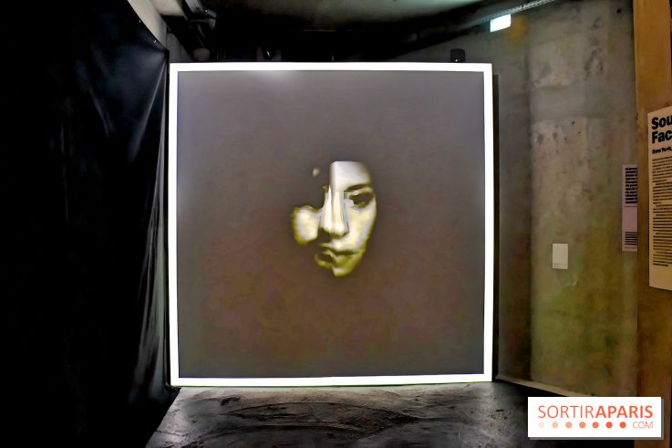 Artificial Dreams II au Grand Palais Immersif : l'exposition nocturne - IMG 1005