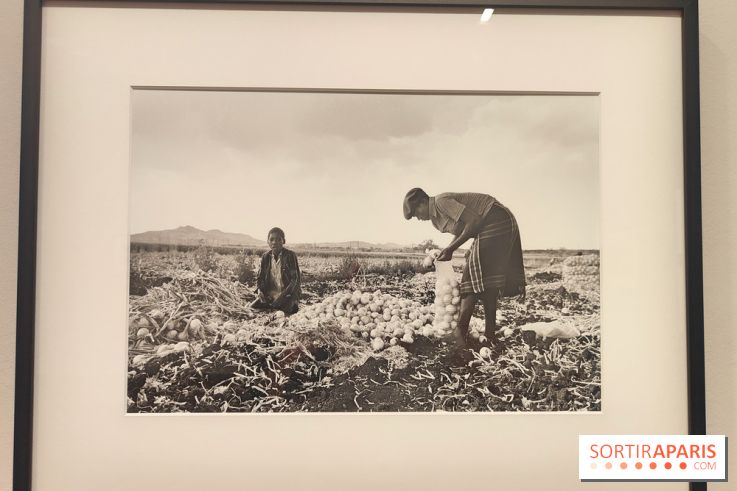 Marie-Laure de Decker exposition MEP - fotor 1748953185853