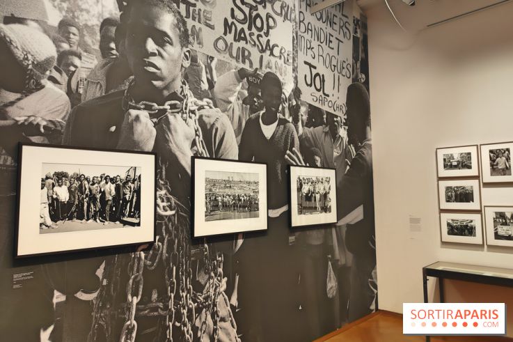 Marie-Laure de Decker exposition MEP - fotor 1748953060089