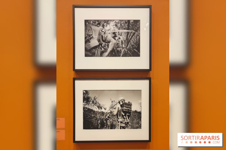 Marie-Laure de Decker exposition MEP - fotor 1748952698959