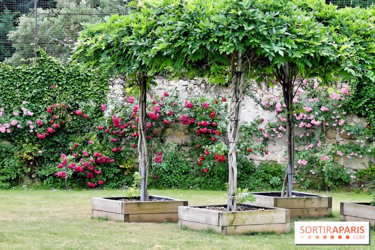 Maison Blanche le restaurant gastronomique du Mesnil Saint-Denis (93) - IMG 1038