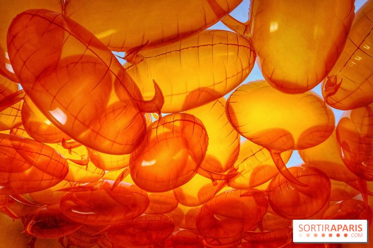 Euphoria - IMG 2730 2