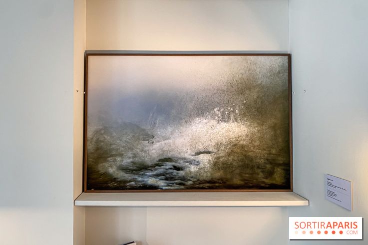 Exposition de Fred Atlan à la galerie Rachel Hardouin : au creux de mes paupières