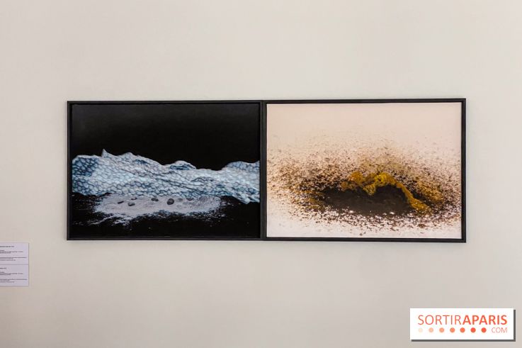 Exposition de Fred Atlan à la galerie Rachel Hardouin : au creux de mes paupières