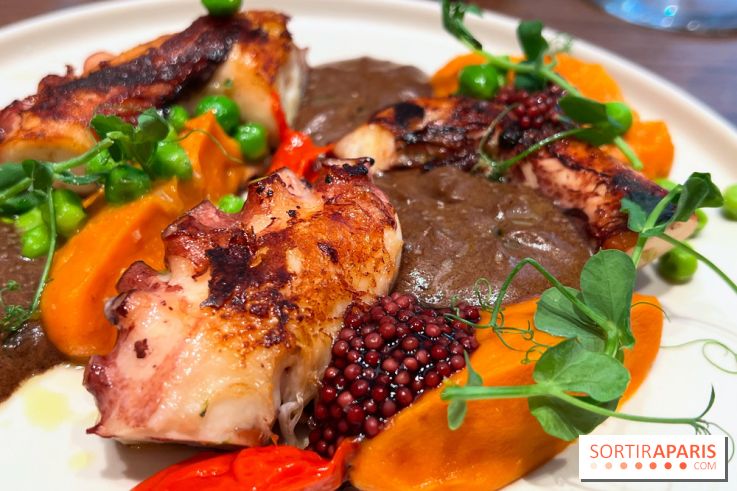 Table Penja - Poulpe snacké