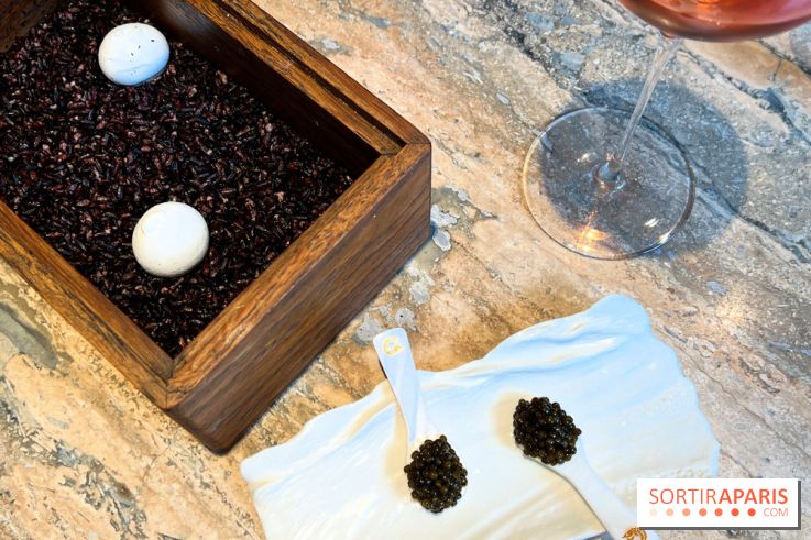 Restaurant Alan Geaam - Meringue de caviar et labneh