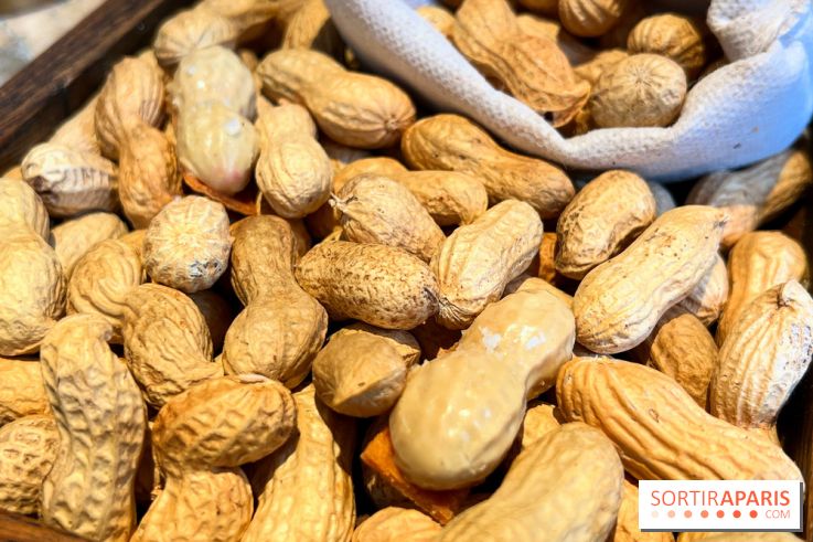 Restaurant Alan Geaam - Cacahuète au foie gras, combava, piment de cayenne