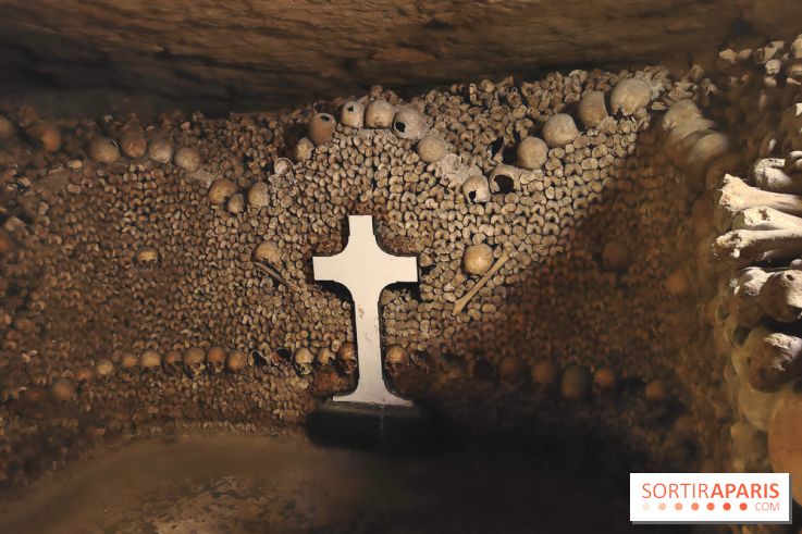 Les Catacombes de Paris - visuels  - fotor 1749245985138