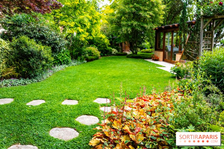 Le Jardin des Aubépines a Auffargis  - A7C01347