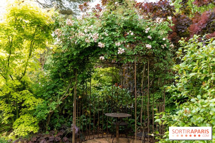 Le Jardin des Aubépines a Auffargis  - A7C01330