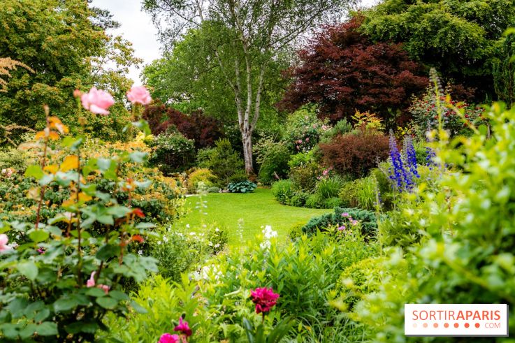 Le Jardin des Aubépines a Auffargis  - A7C01416