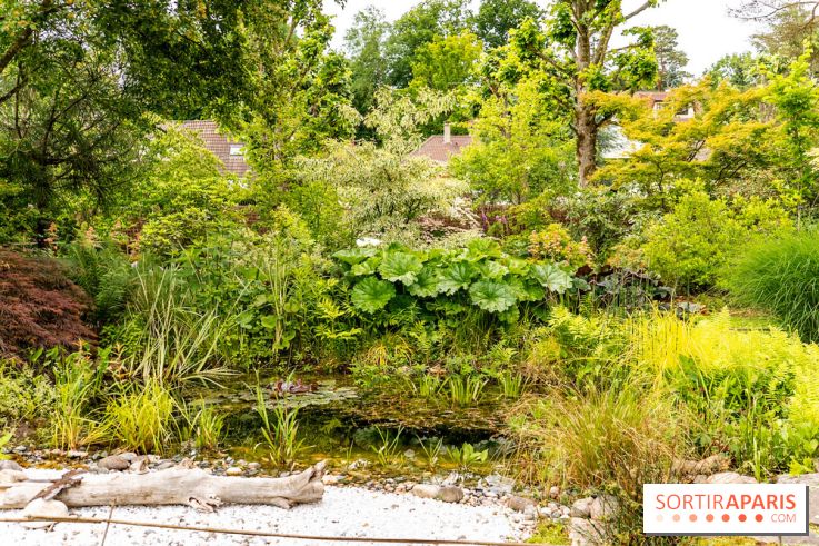 Le Jardin des Aubépines a Auffargis  - A7C01341