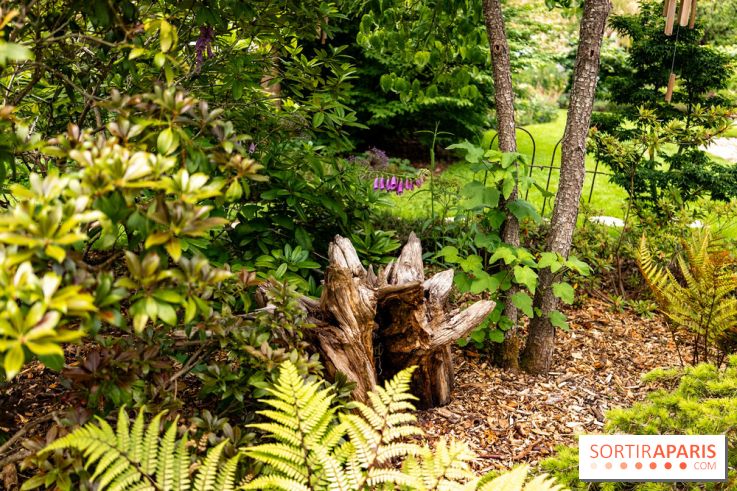 Le Jardin des Aubépines a Auffargis