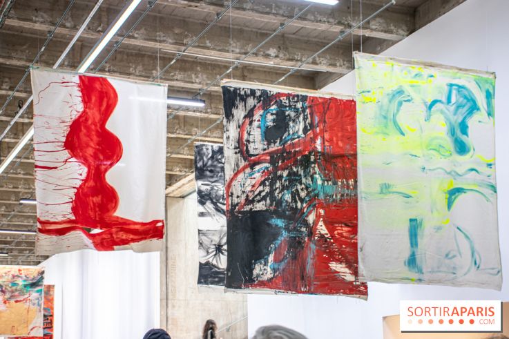 Exposition Disco de Vivan Sutter au Palais de Tokyo - DSC 3039