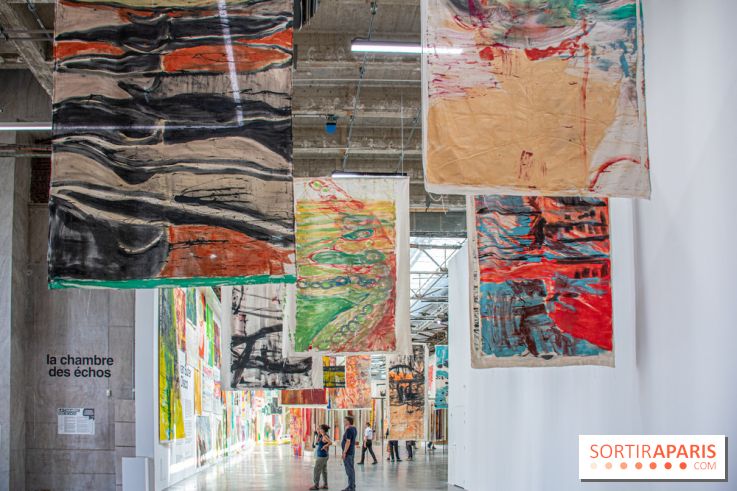 Exposition Disco de Vivan Sutter au Palais de Tokyo - DSC 3044