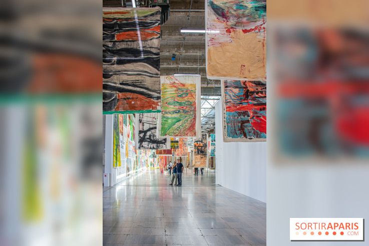 Exposition Disco de Vivan Sutter au Palais de Tokyo - DSC 3045