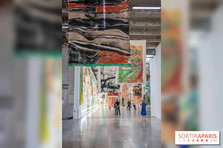 Exposition Disco de Vivan Sutter au Palais de Tokyo - DSC 3046