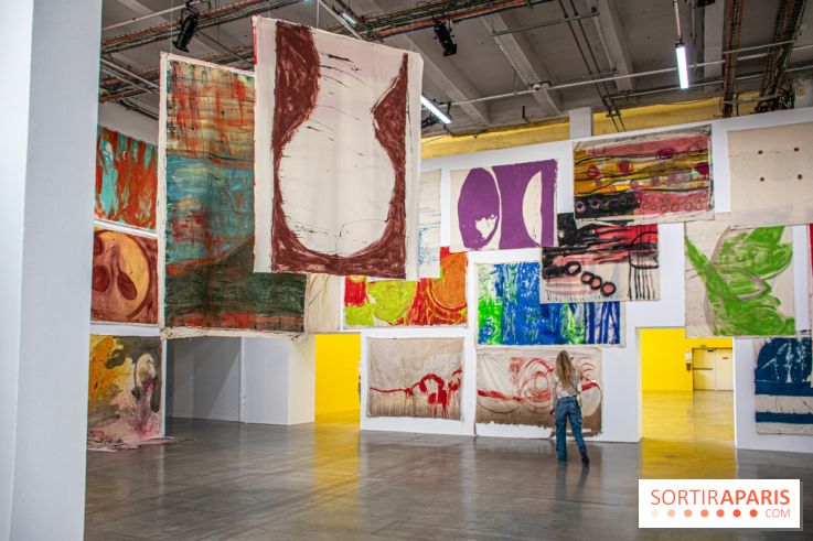 Exposition Disco de Vivan Sutter au Palais de Tokyo - DSC 3054