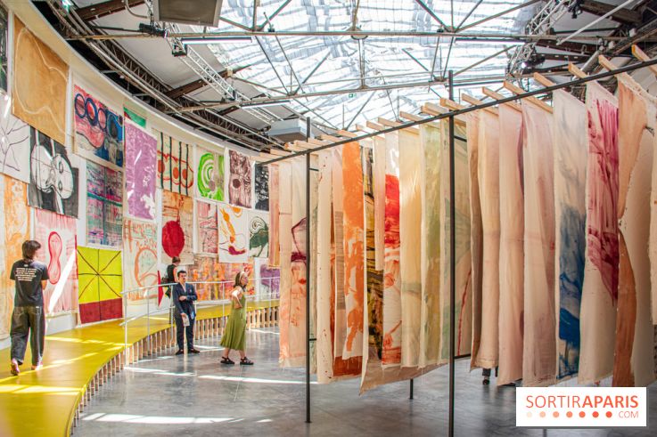 Exposition Disco de Vivan Sutter au Palais de Tokyo - DSC 3058