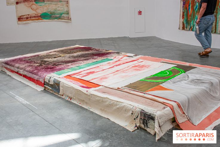 Exposition Disco de Vivan Sutter au Palais de Tokyo - DSC 3059