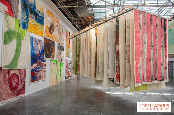 Exposition Disco de Vivan Sutter au Palais de Tokyo - DSC 3061