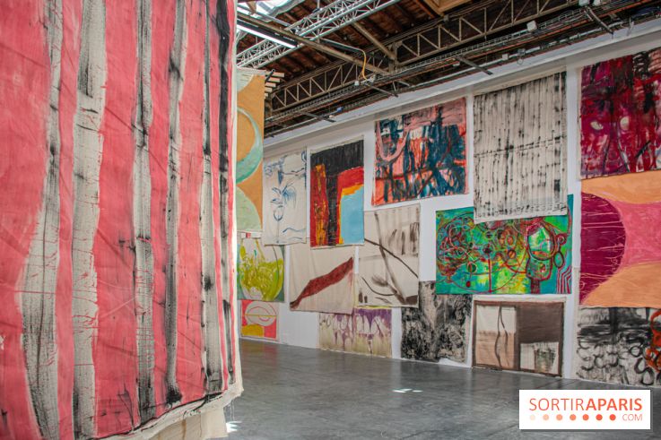 Exposition Disco de Vivan Sutter au Palais de Tokyo - DSC 3062