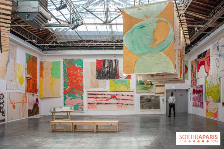 Exposition Disco de Vivan Sutter au Palais de Tokyo - DSC 3063