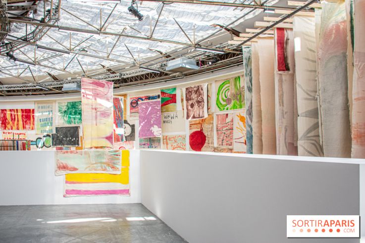 Exposition Disco de Vivan Sutter au Palais de Tokyo - DSC 3065