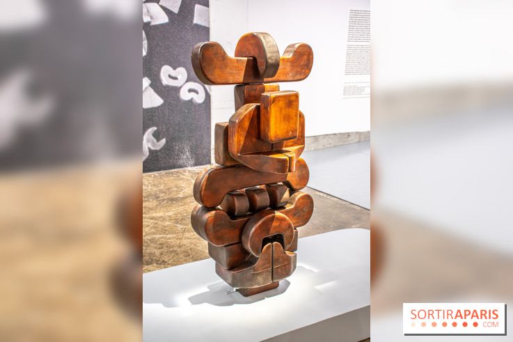 Exposition de Thảo Nguyên Phan au Palais de Tokyo - DSC 3077