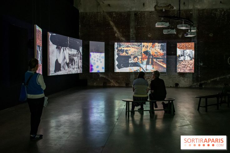 Exposition de Thảo Nguyên Phan au Palais de Tokyo - DSC 3084