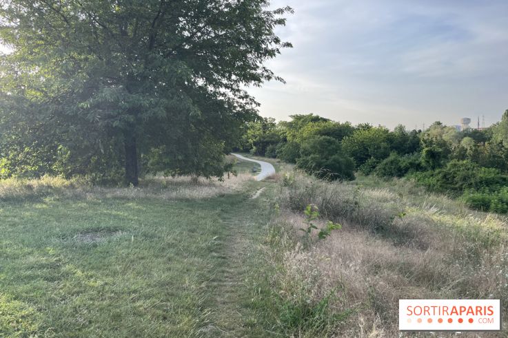 Le parc de l'Île-Saint-Denis - nos photos - 96DC1E52 629A 41C7 847C 4D6BC35C470A