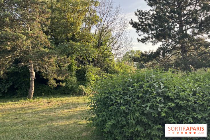 Le parc de l'Île-Saint-Denis - nos photos - 3F146E9F D3AF 4C8E AD51 F90D85BAC341