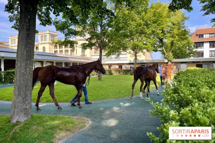 Jeuxdi by Longchamp - chevaux