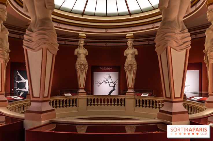 Han Rooftop, le rooftop du Musée Guimet en mode Coréenne - A7C02201