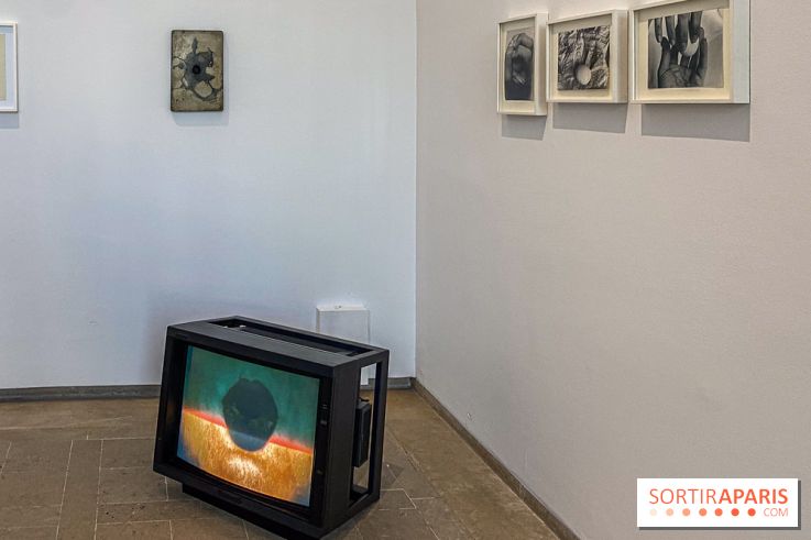 Anna Maria Maiolino au Musée Picasso : nos photos de l'exposition Je suis là - IMG 5867