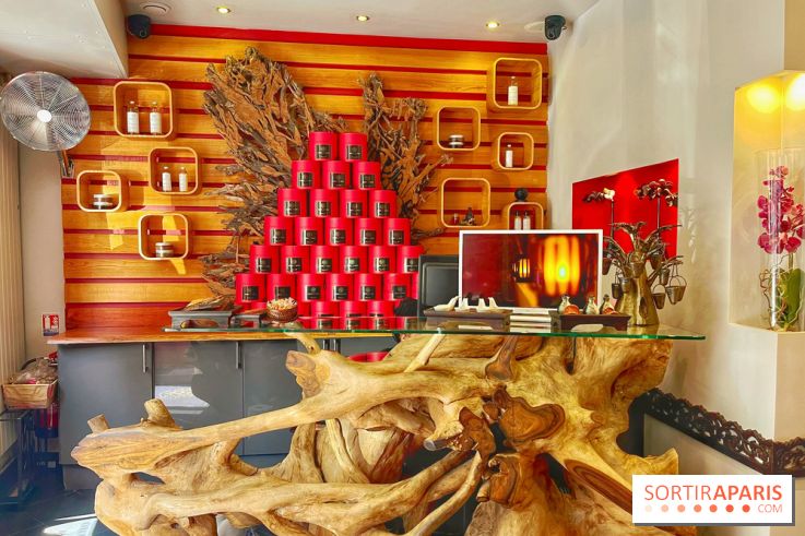 Arbre à sens - IMG 3066