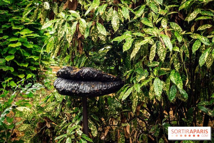 Grandeur Nature II, le festival d'art contemporain gratuit au parc du Château de Fontainebleau - A7C02755