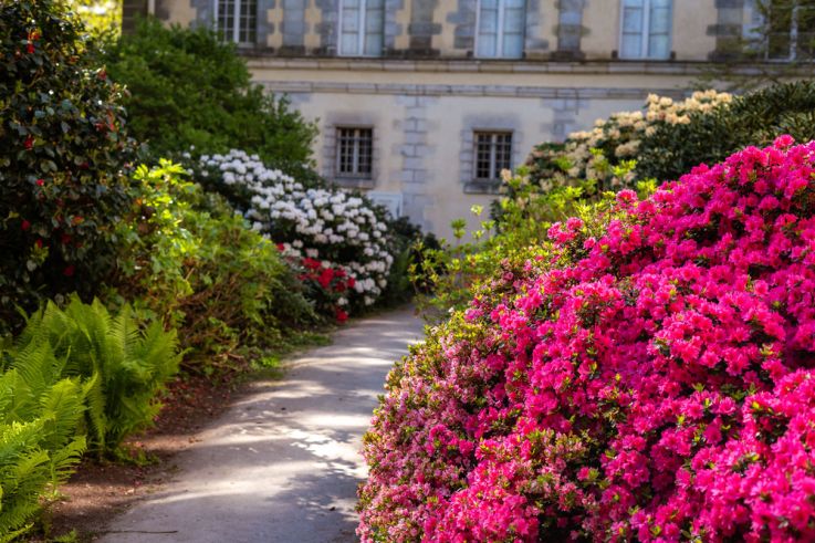 Château de Fontainebleau - jardin du parc du Château de Fontainebleau