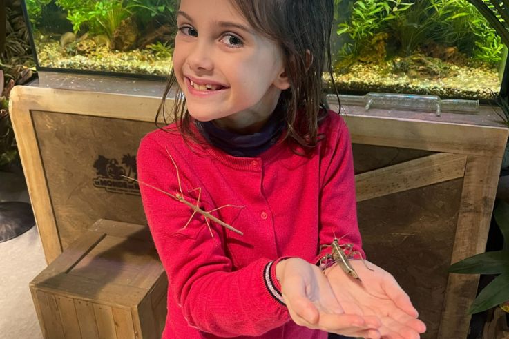 Le Monde de Noé : L’expérience immersive sur le monde animal 