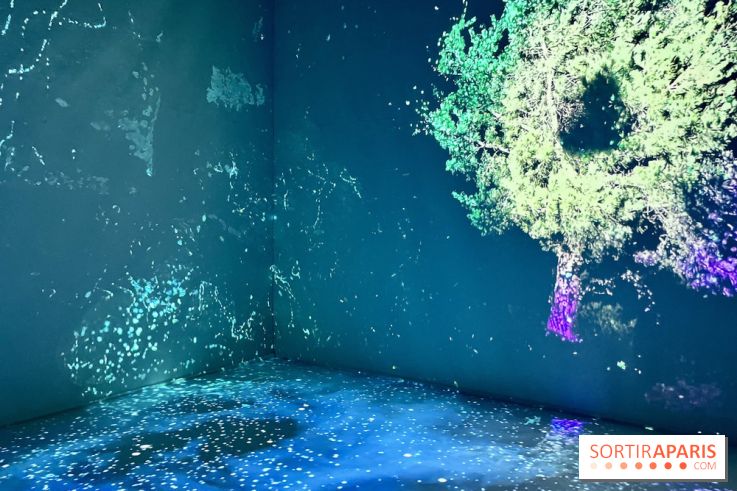 Topologie de l’Eau : Roches, Plantes et Vent - IMG 3242